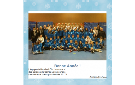 BONNE ANNÉE 2017 ! 